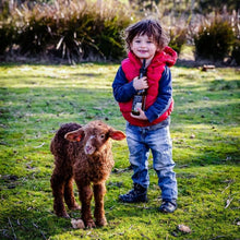 Load image into Gallery viewer, Grandvewe Gin Herbalist