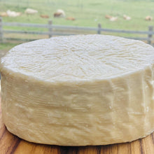 Load image into Gallery viewer, Grandvewe Primavera - Manchego Style