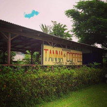 Load image into Gallery viewer, Tanna Coffee Medium Roast