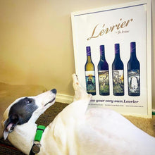 Load image into Gallery viewer, Levrier Winemaker Selection