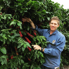 Load image into Gallery viewer, Skybury Coffee Microlot Peaberry Catuai
