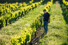 Load image into Gallery viewer, Sevenhill Winemaker Pack

